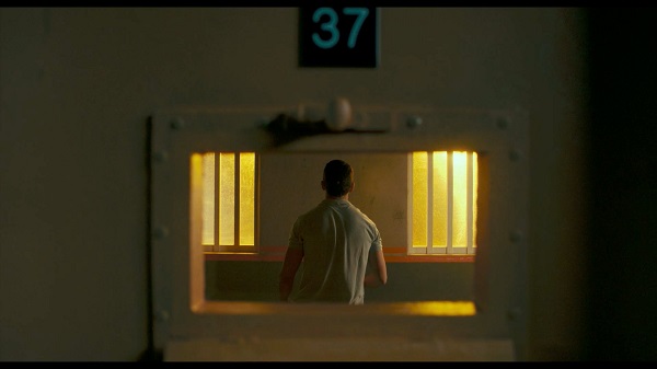 Cell 37