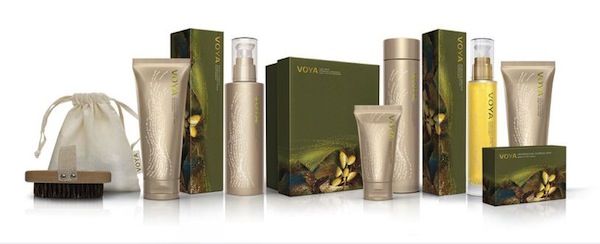 voya products