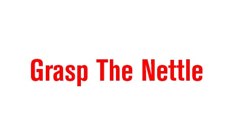 Weird Words | To Grasp The Nettle