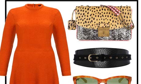 Daily Stylist | Tangerine Dream