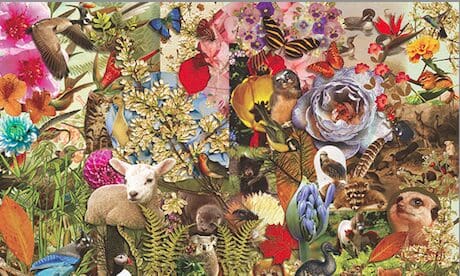 Editor’s Column | Free Range Humans