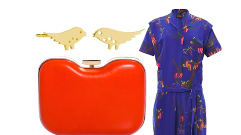 Daily Stylist | A Little Bird Told Me…