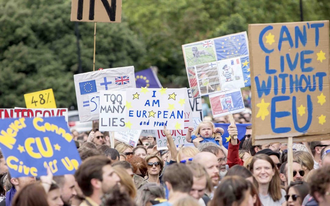 Finally Understand What the Hell’s Going on With Our Dummies Guide To Brexit