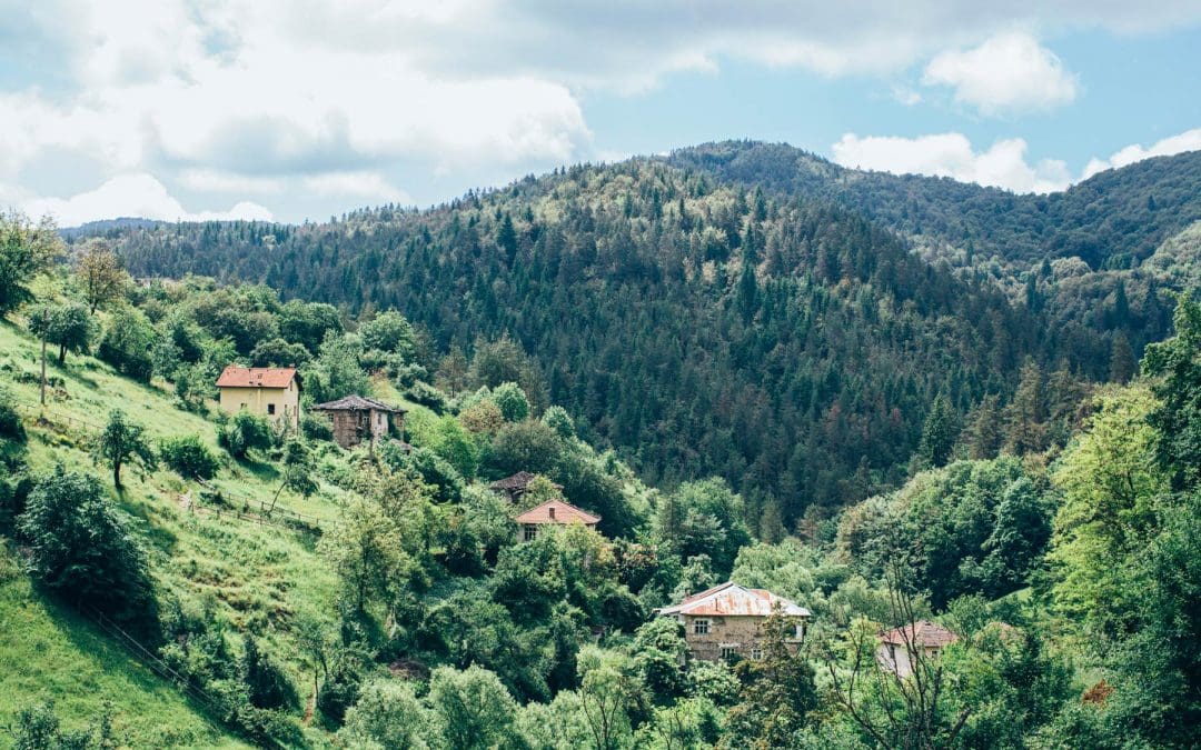 No Egos, No Sponsors, No Stars: How Benji Sasse Co-Founded Meadows in the Mountains, the Anti-Festival You’re Longing For