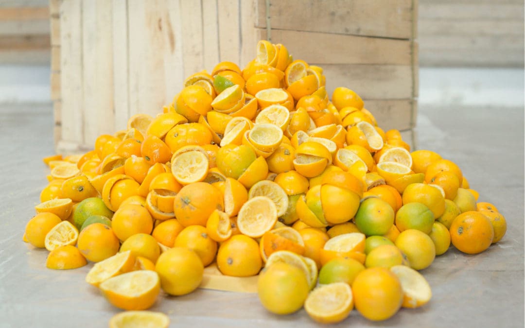 From Citrus Fibre To Cow Manure, These 6 Disruptive Innovations Are Shaping The Future of Sustainable Fashion