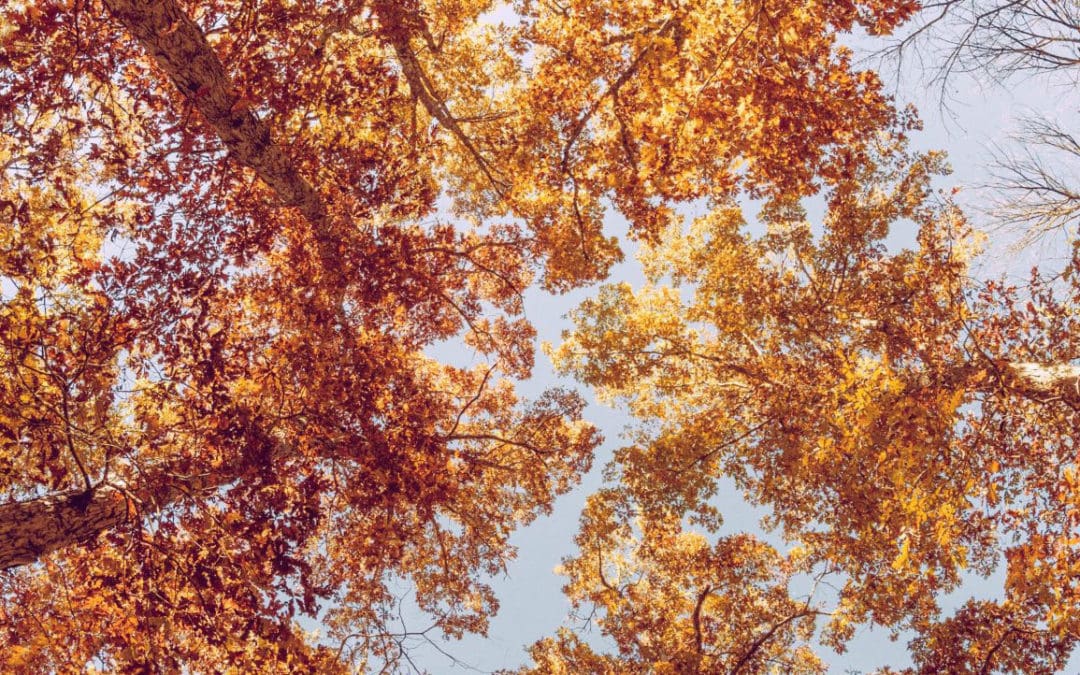 We’re Suffering From An Epidemic Of Dissatisfaction. Here’s How To Regain Control Of Your Life