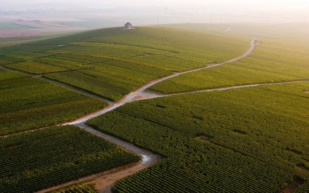 Through The Grapevine: How Champagne Gods Moët Stood The Test of Time