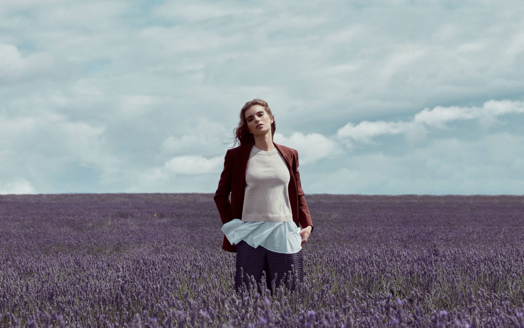 Wild Lavender