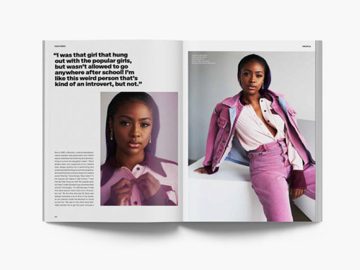 PHOENIX No. 23 - Design - Image 9