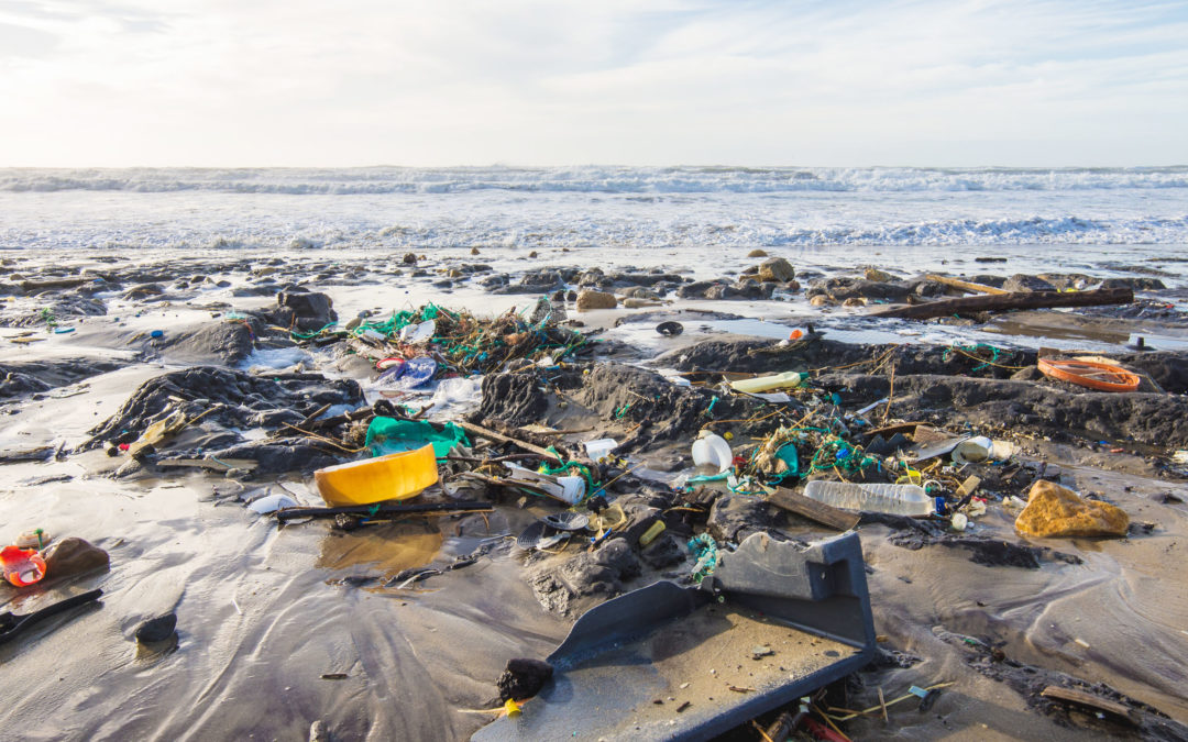 Stop Talking, Start Doing:  5 Ways to Reduce Your Plastic Waste Now