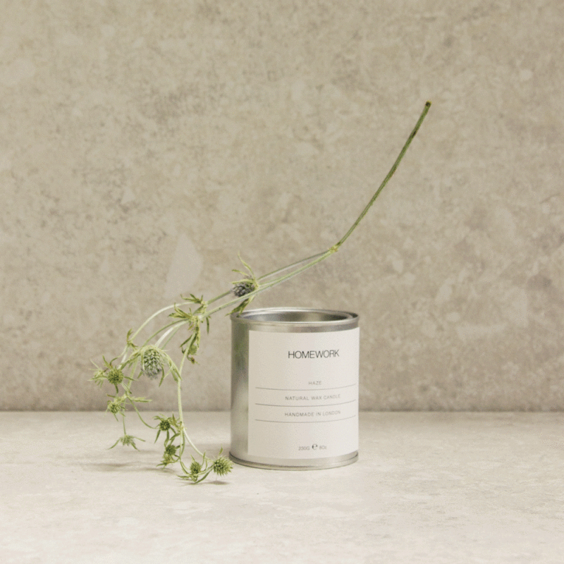 Phoenix classroom gems image