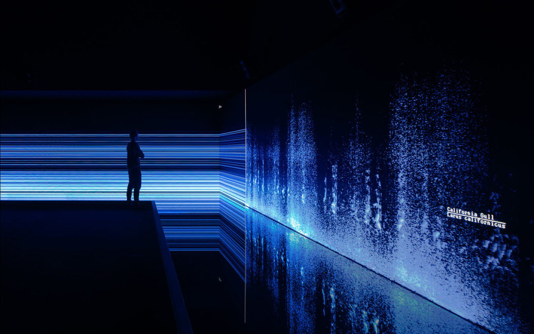 Lazers, Spooks and Firelighting Rituals: Welcome to the November Culture Hitlist